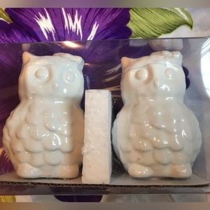 All white Salt and Pepper owls